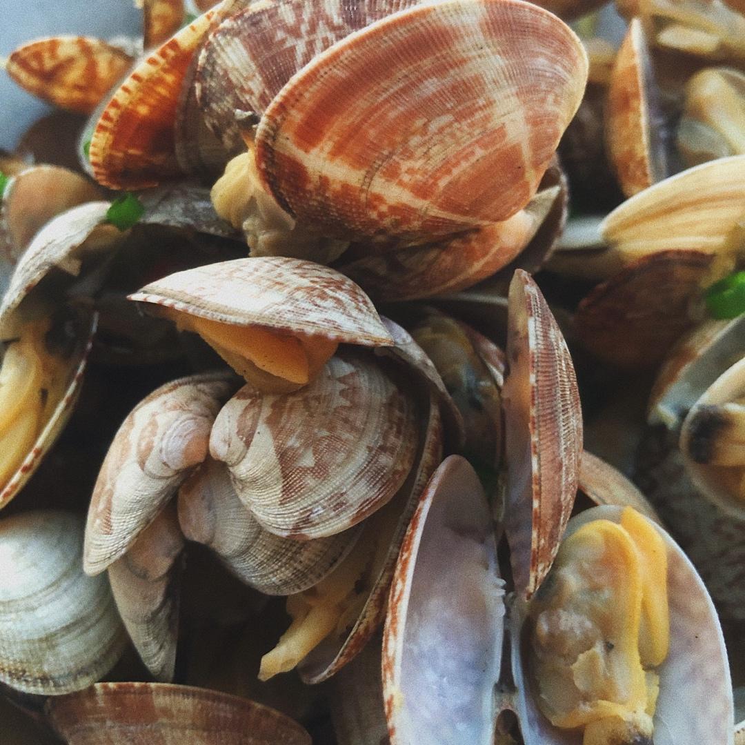 酒蒸蛤蜊-深夜食堂