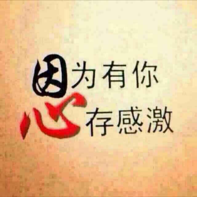 雨菲莲冻