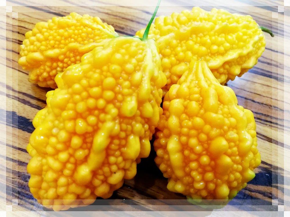 yuncafe做的金铃子癞葡萄红苦瓜