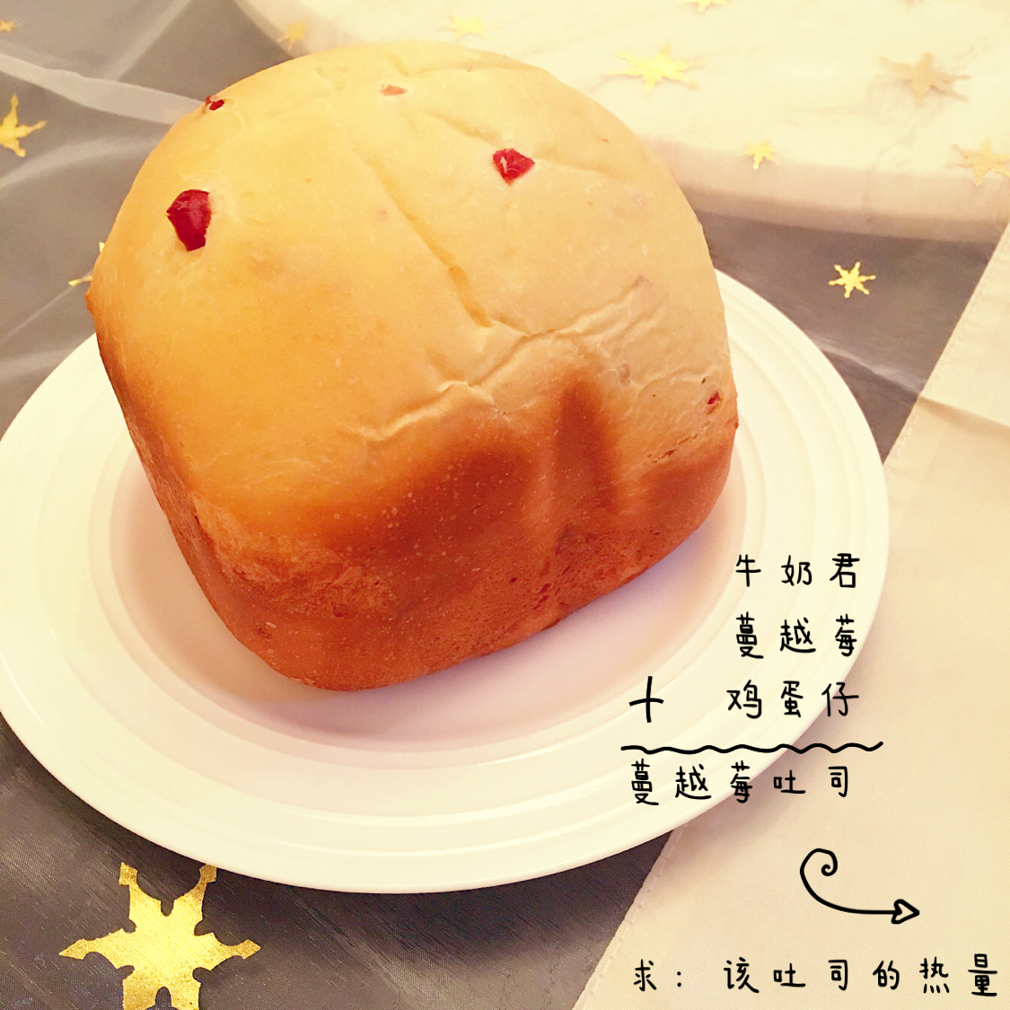 提子土司（柏翠面包机PE6280）自用方子
