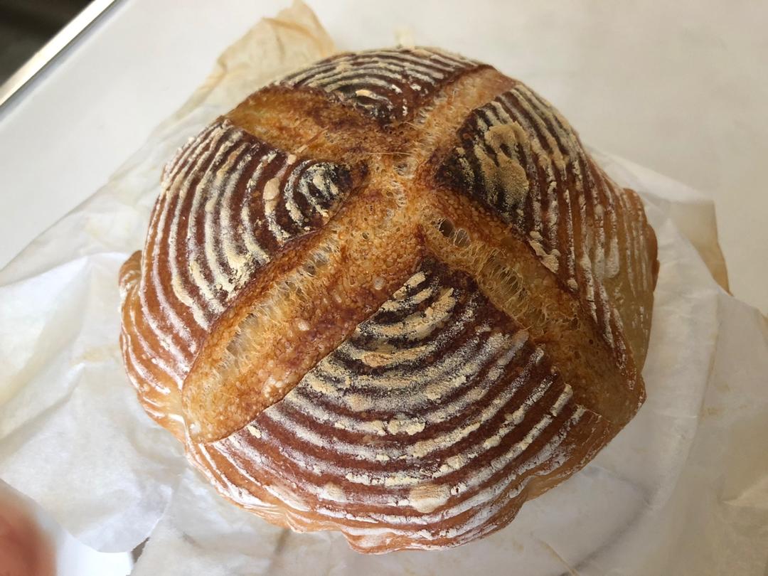 波兰酵头乡村面包--铸铁锅版