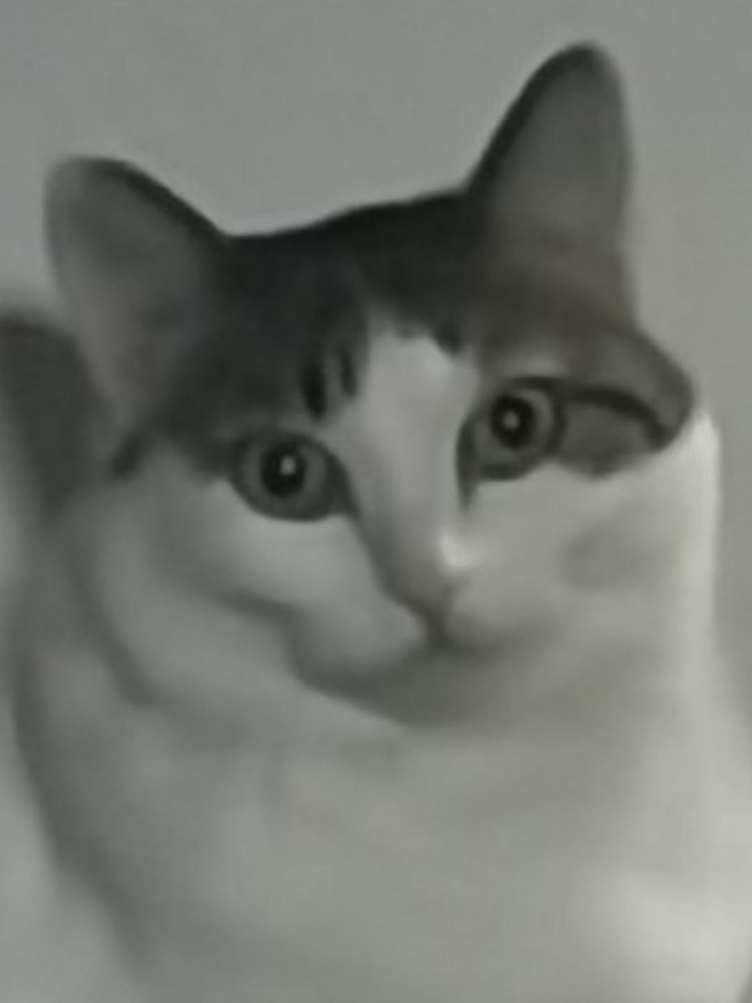 咪坏