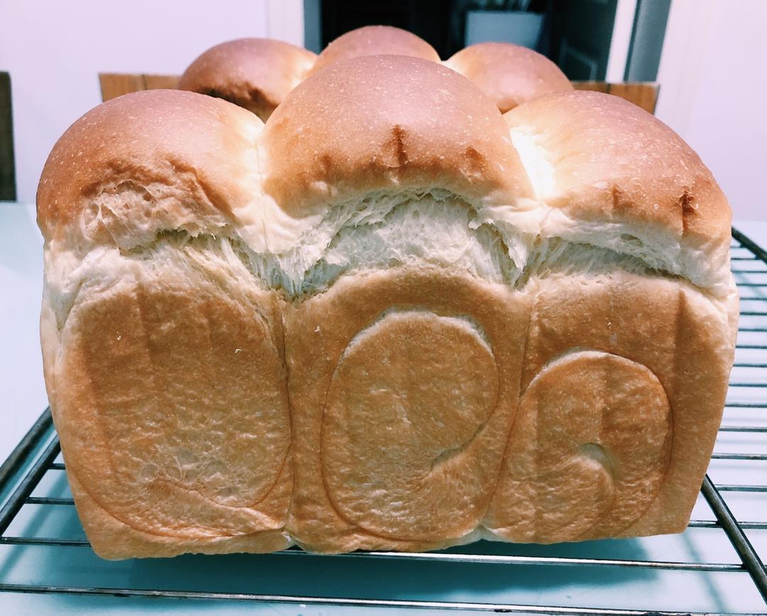 波兰种牛奶吐司