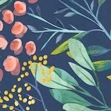 呼啦呼啦一吃货