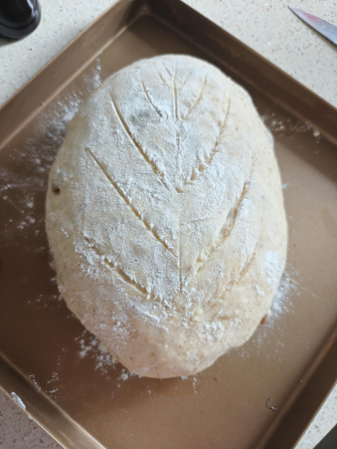 超软淡奶油餐包，无需黄油快速出膜，棉花般柔软