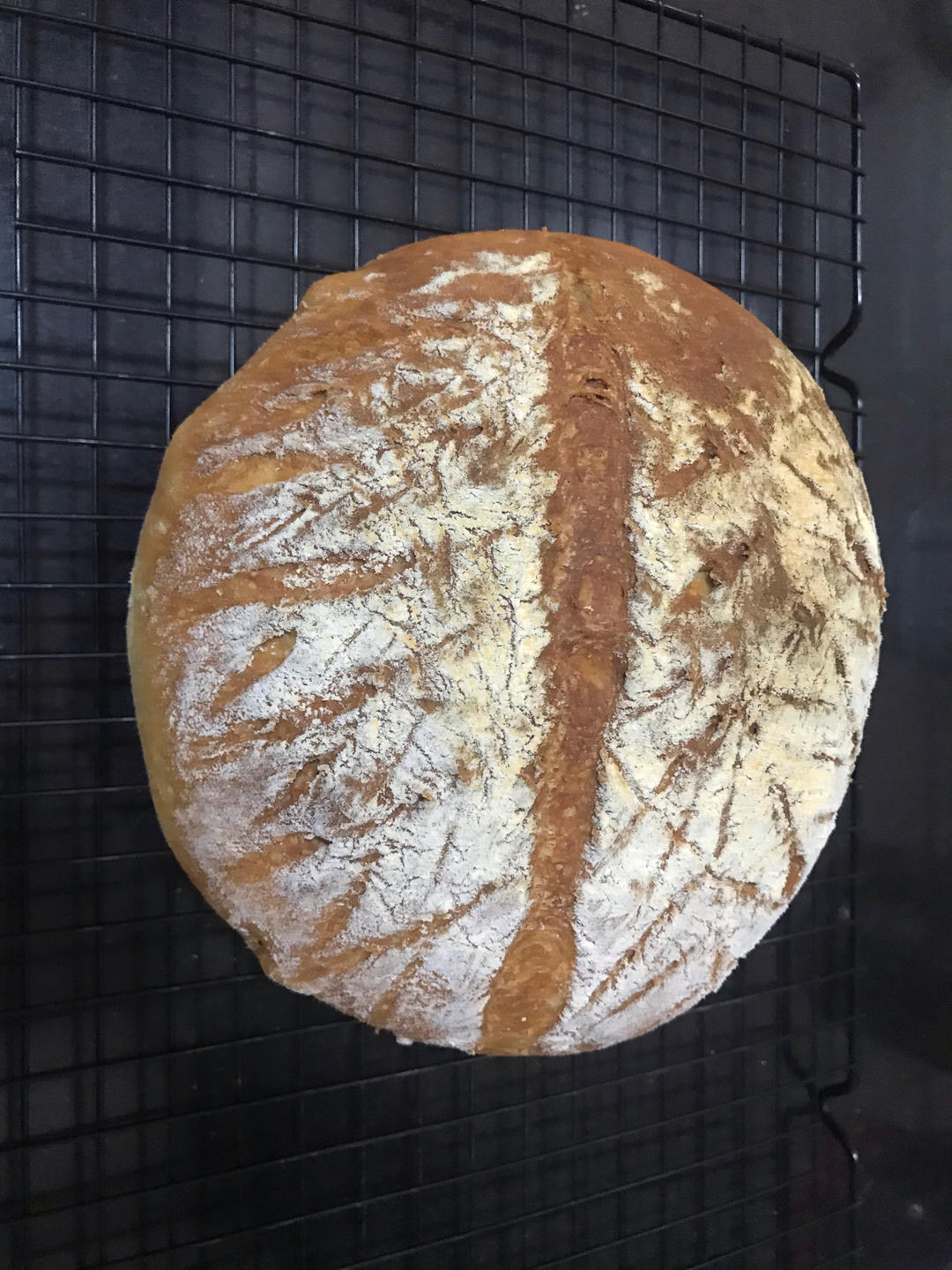 果然很简单！免揉欧包