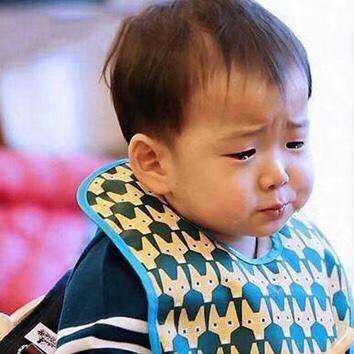 立志做个精致猪