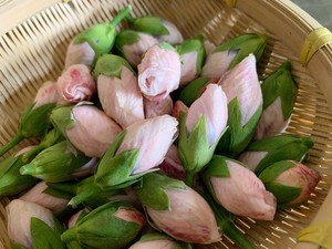 夏日解暑菜单 木槿花薄荷炒蛋的做法步骤图 爱的小食光 下厨房 夏日解暑菜单 木槿花薄荷炒蛋的做法步骤图 爱的小食光 下厨房