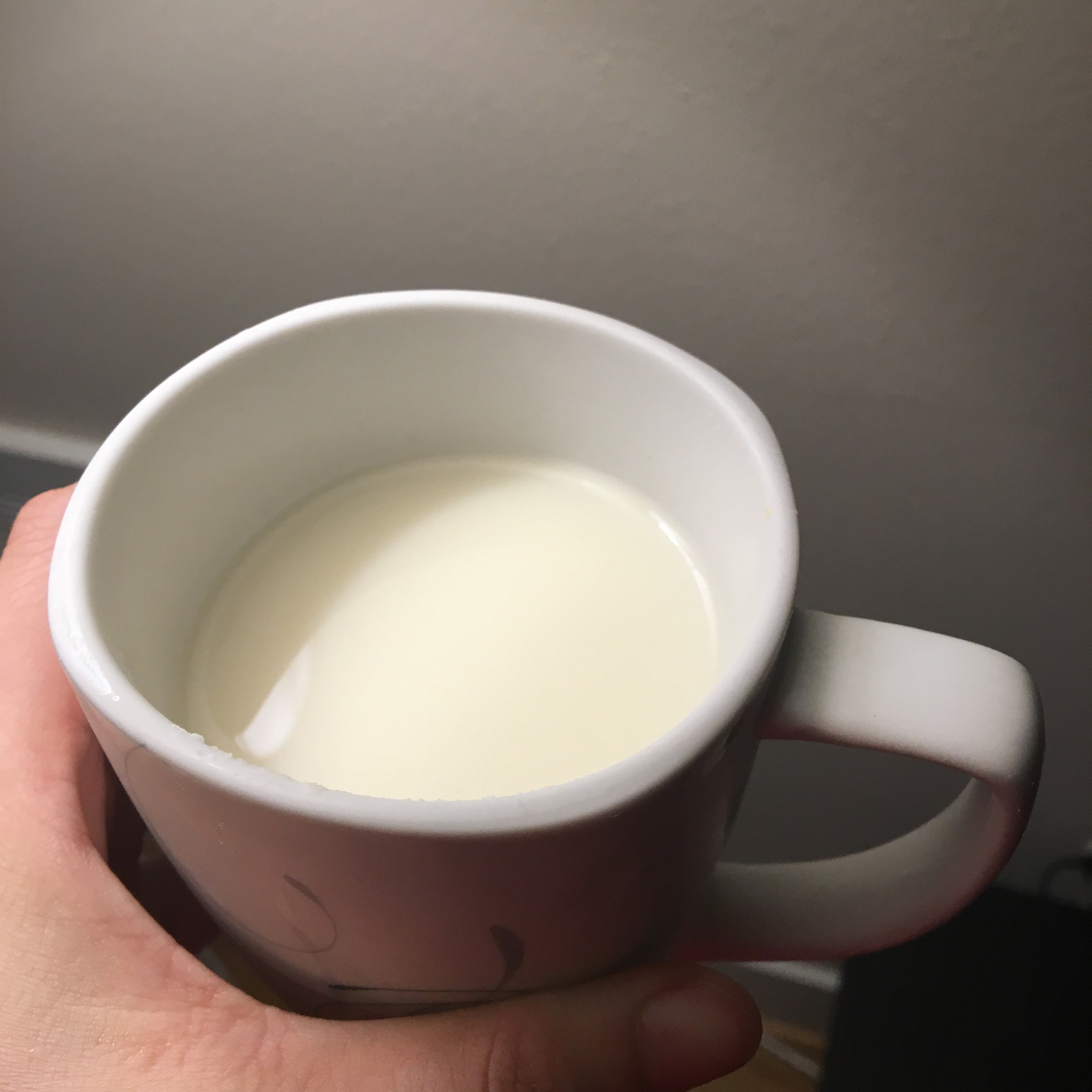 生豆豆浆（搅拌机版）