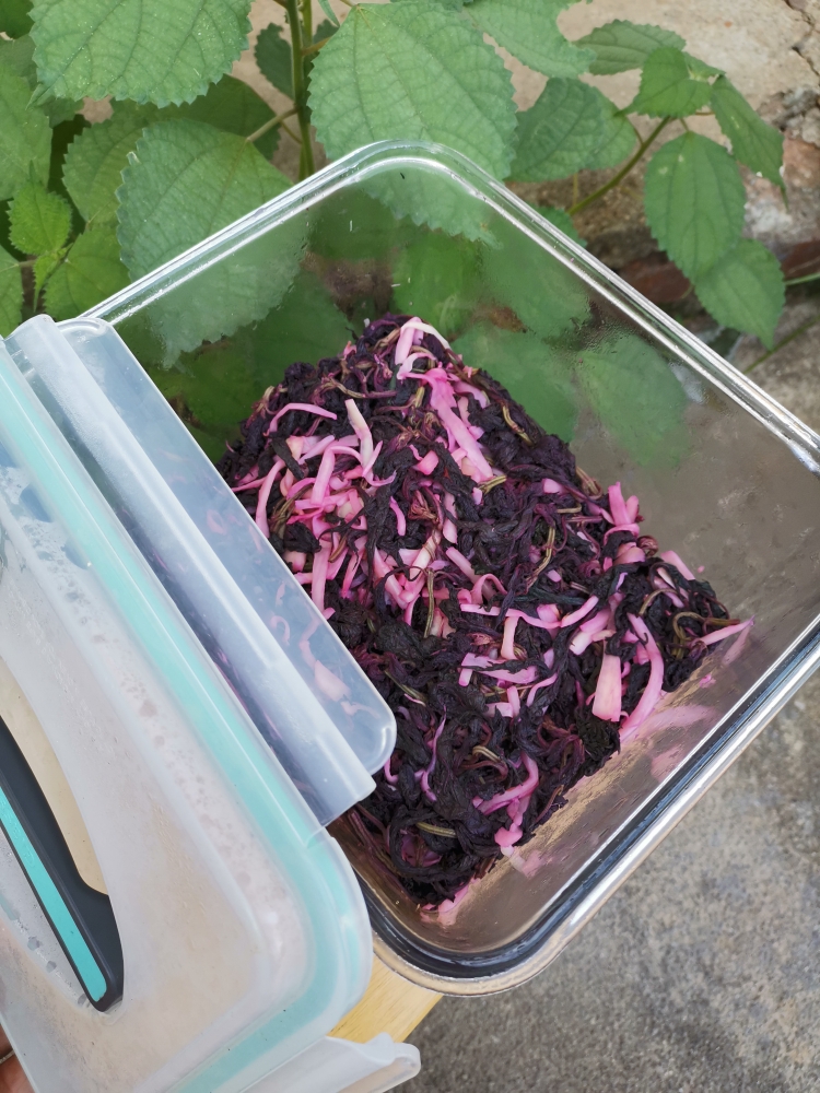 紫苏桃子姜-湖南特产的做法