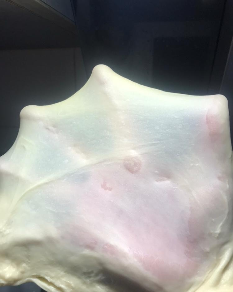 伍德厨师机版手套膜