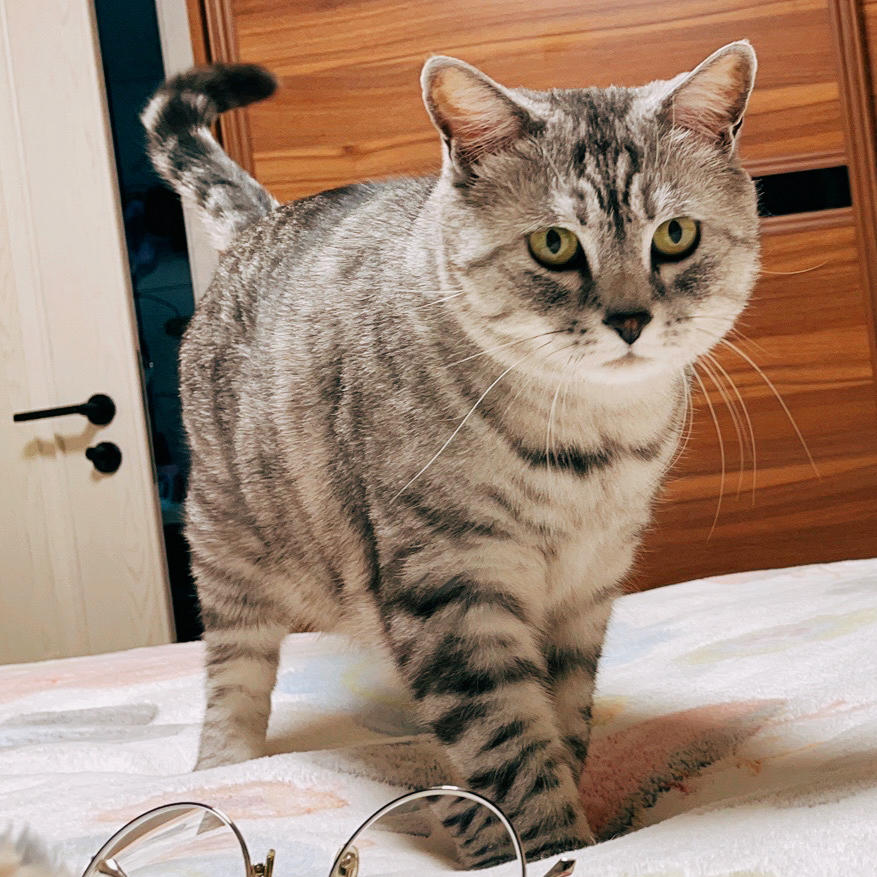 小逸就是大呆呆