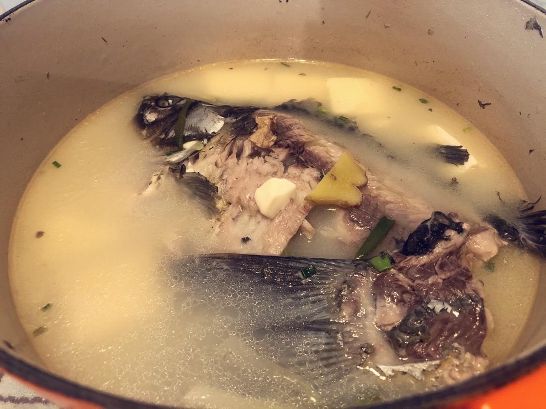 奶白鲫鱼豆腐汤|一条鱼最后的温柔