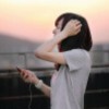 Monkey宝