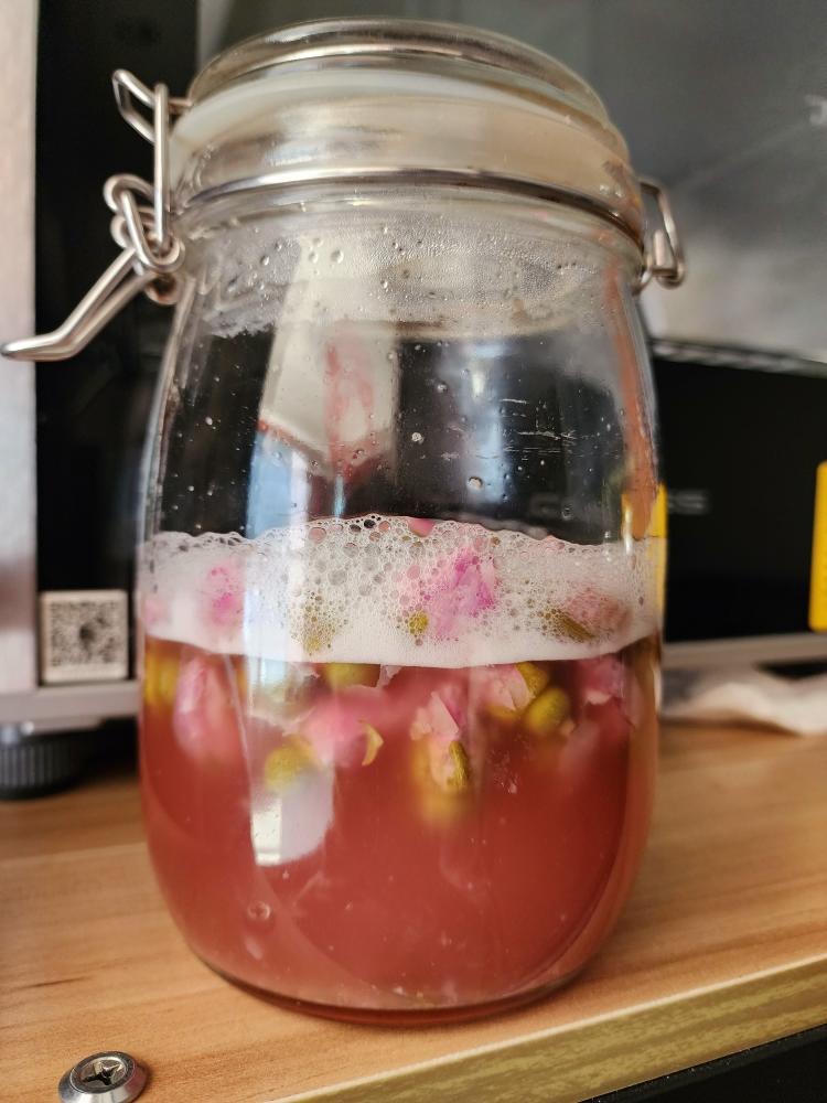 自制玫瑰酵母液