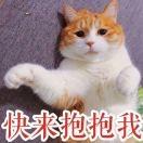 华夫饼本饼登场