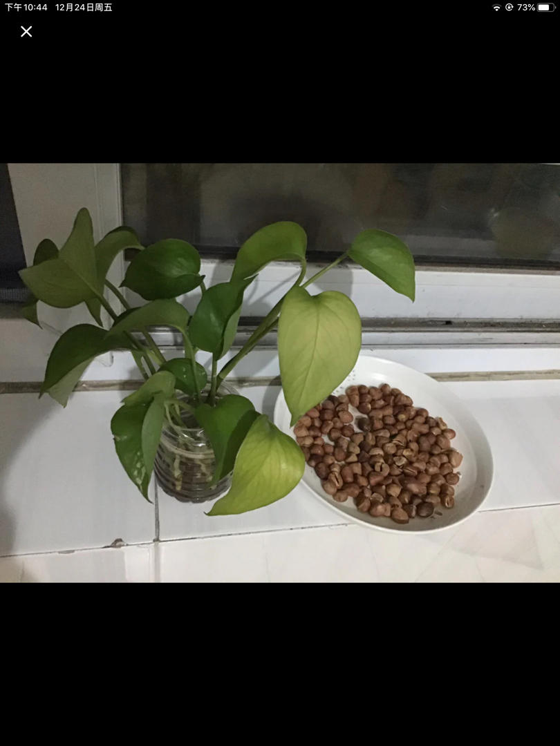 香脆微波炉花生（好吃又好做）