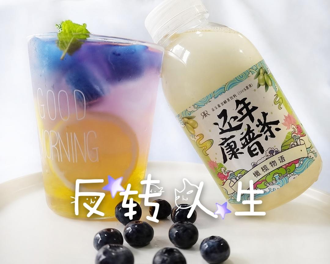 好喝好看的康普茶饮品｜反转人生的做法