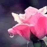 然妈早餐小厨房