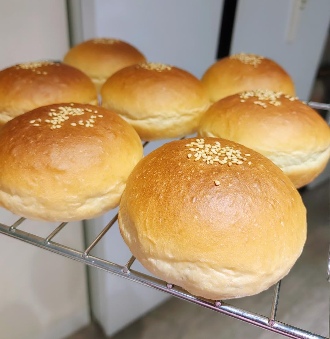 汉堡胚 poolish（波兰种）