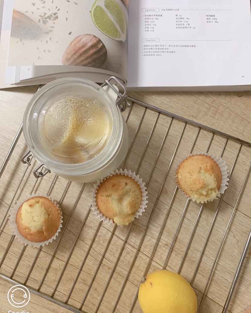 《Tinrry+》柠檬玛德琳