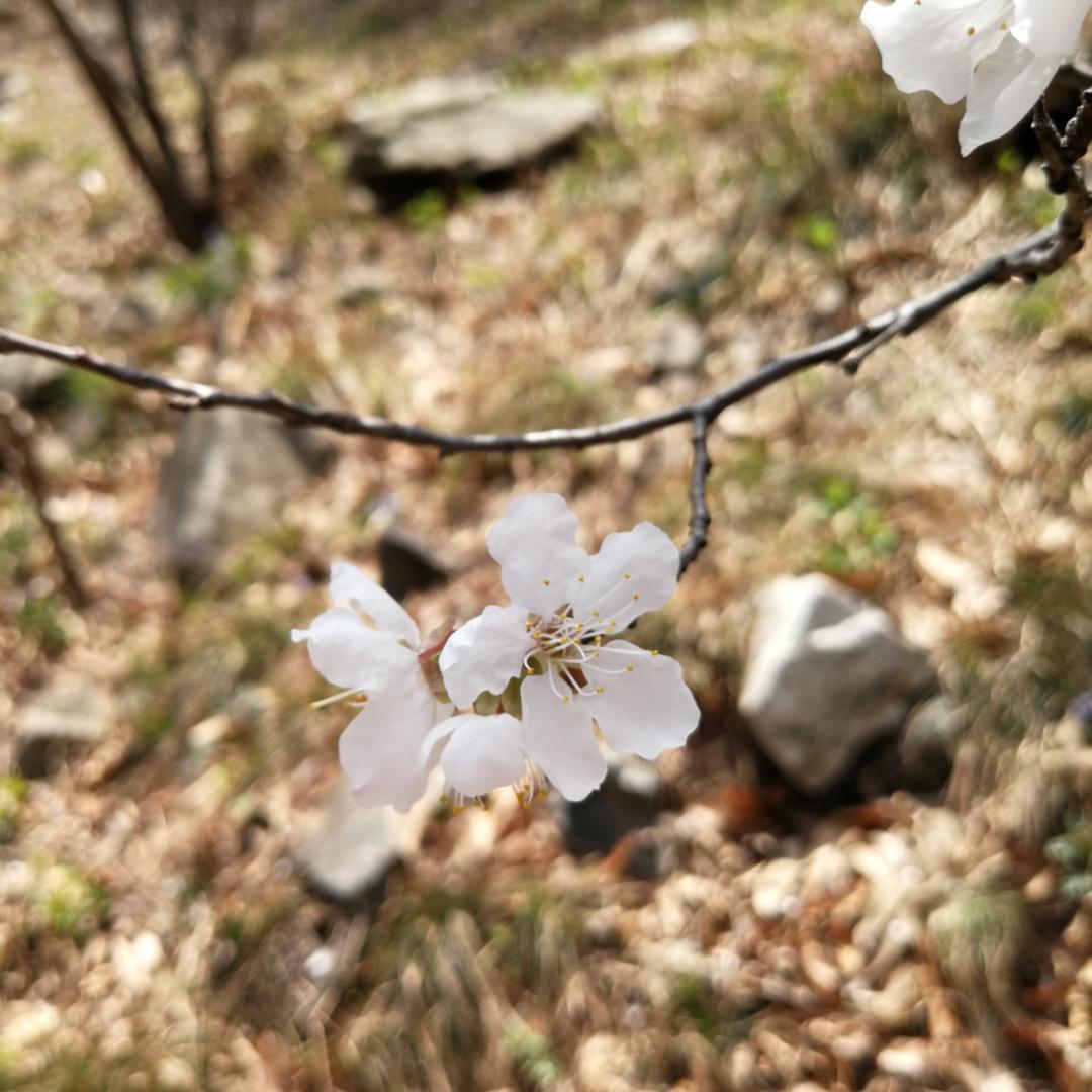 蕊蕊1124