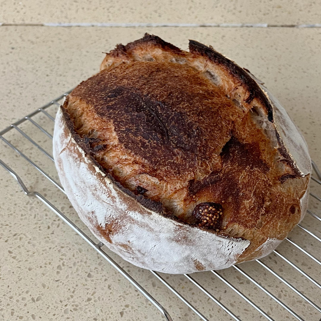 Sourdough Showroom