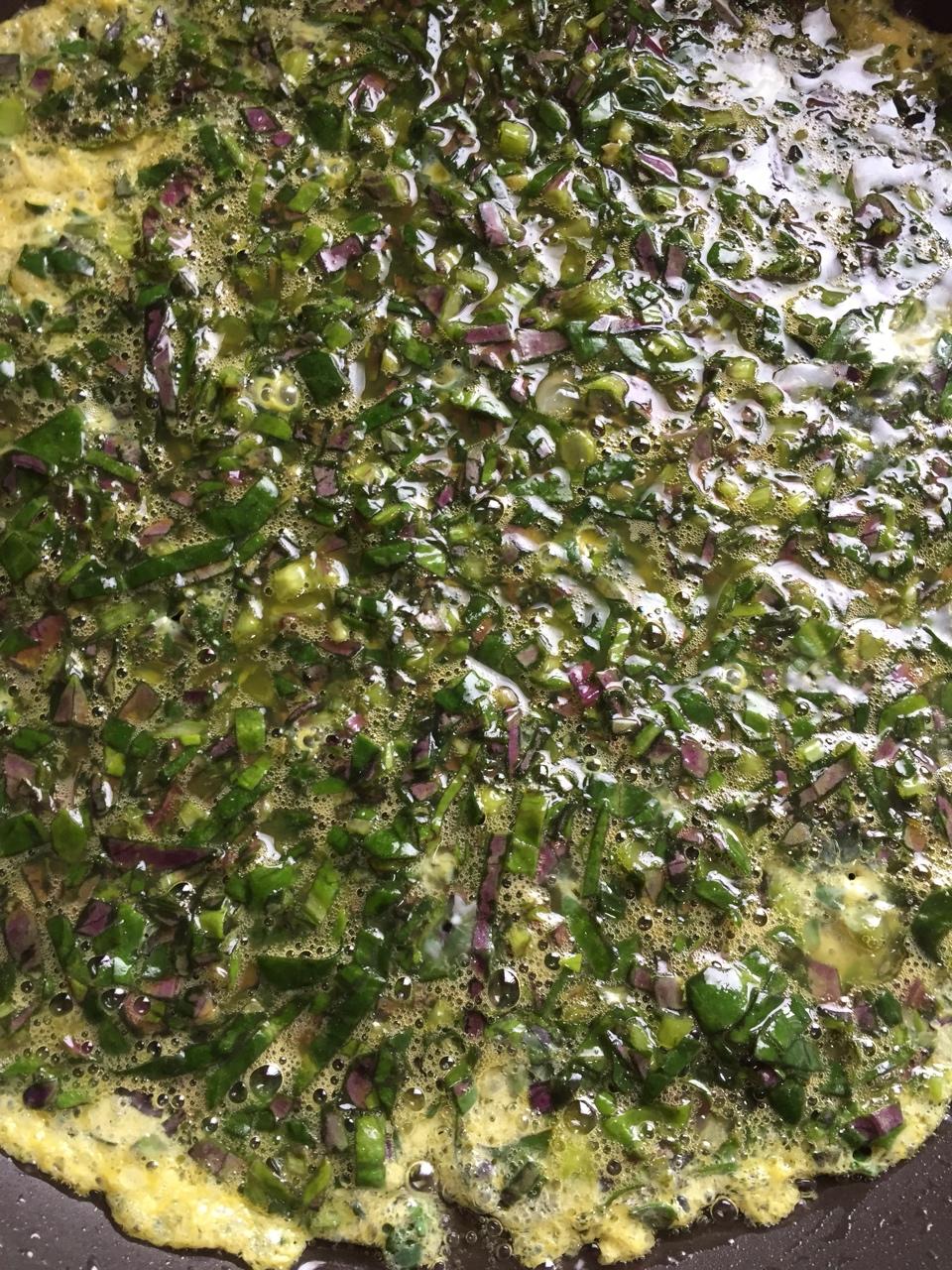 紫背菜煎蛋
