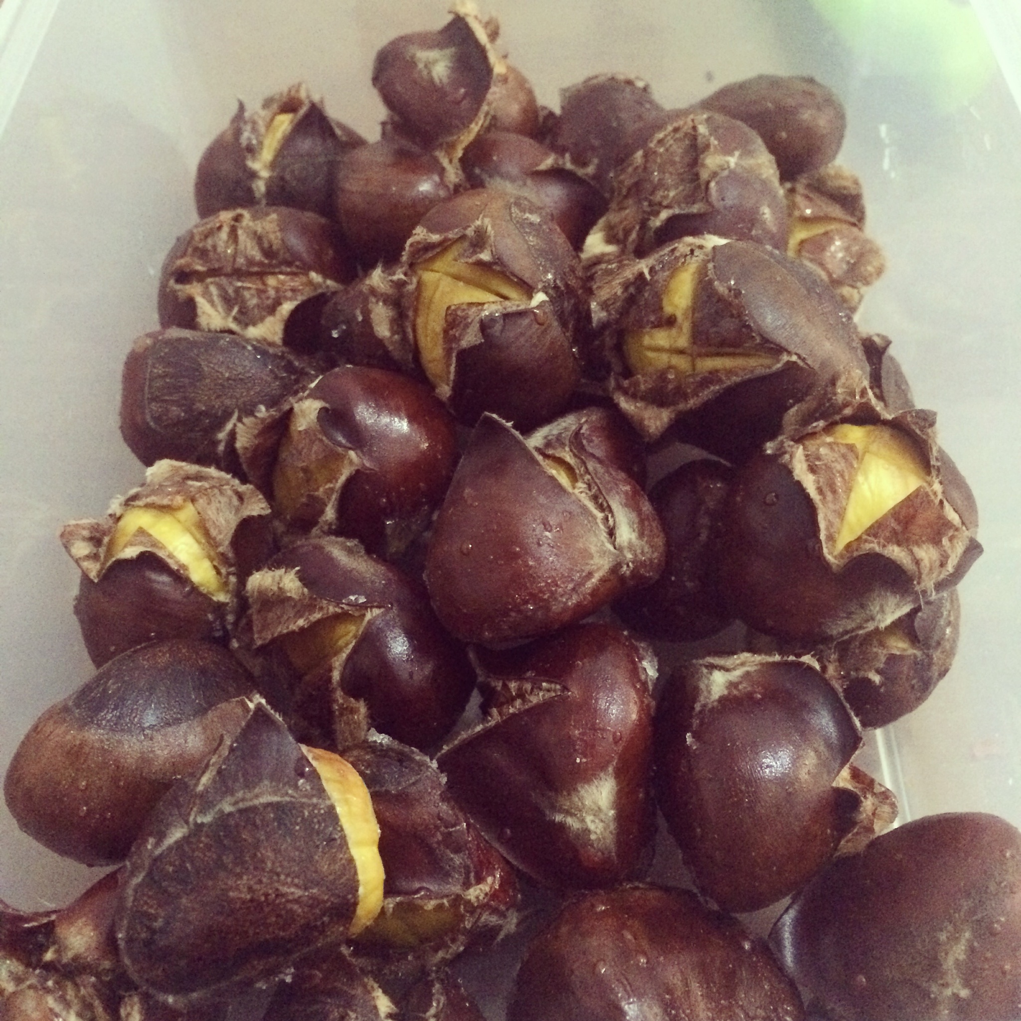 烤栗子（懒人版）