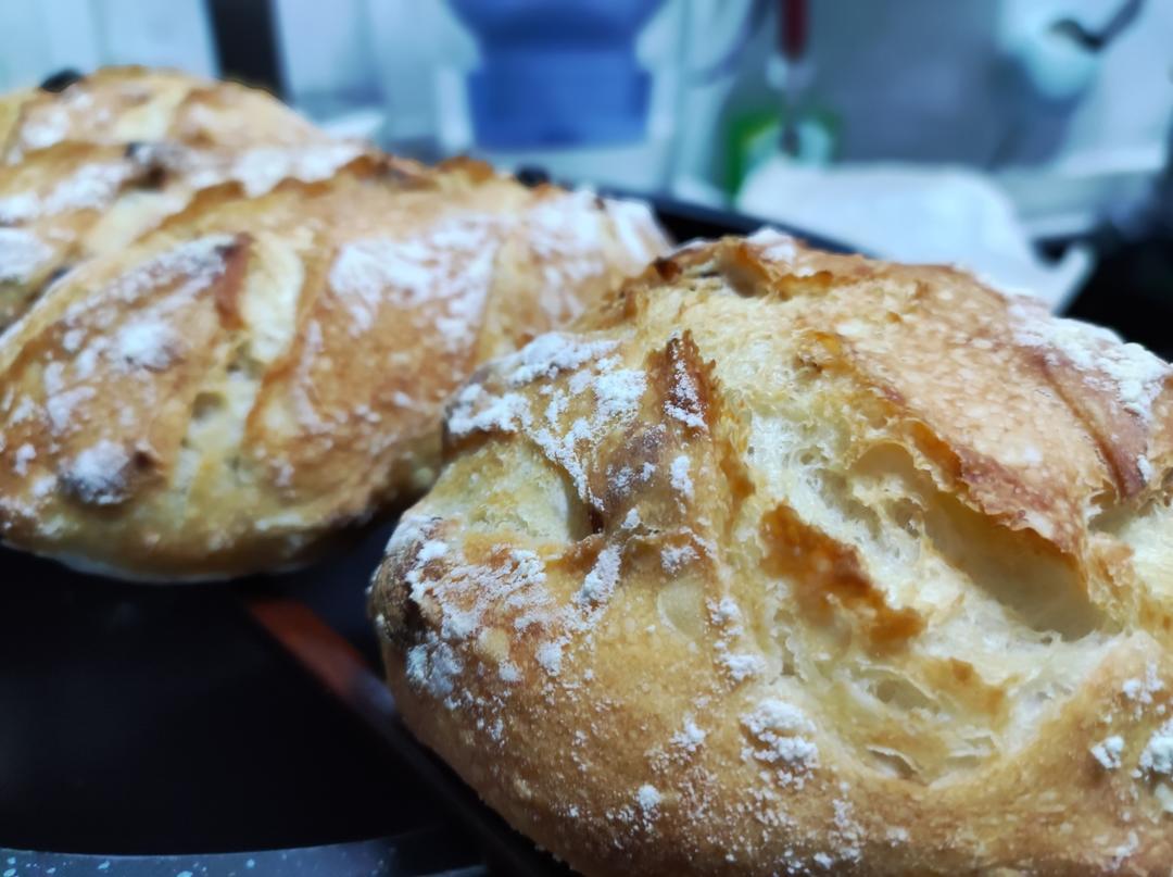 能秀朋友圈的波兰酵头欧包