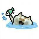 每天都在想怎么吃