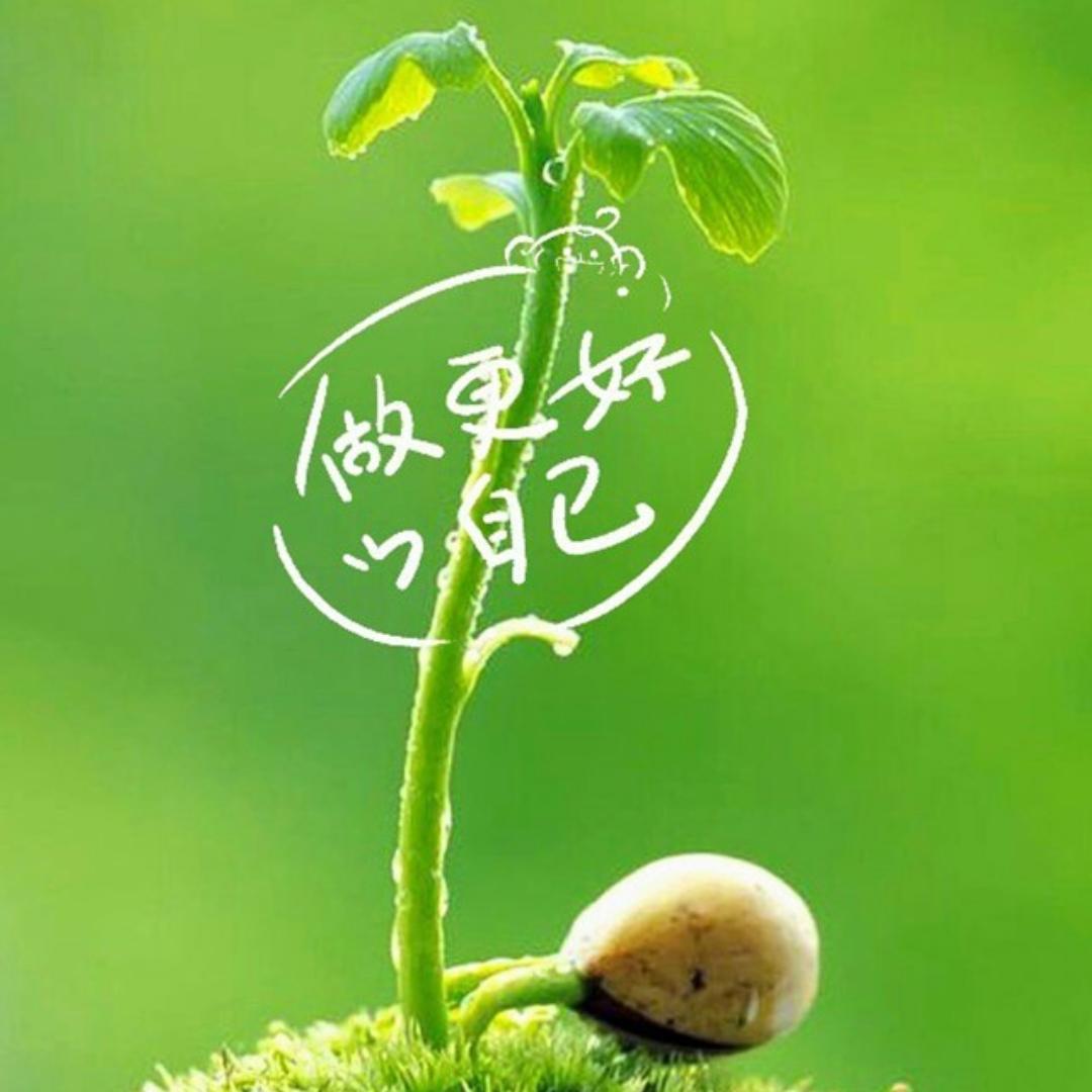 迷途飒飒
