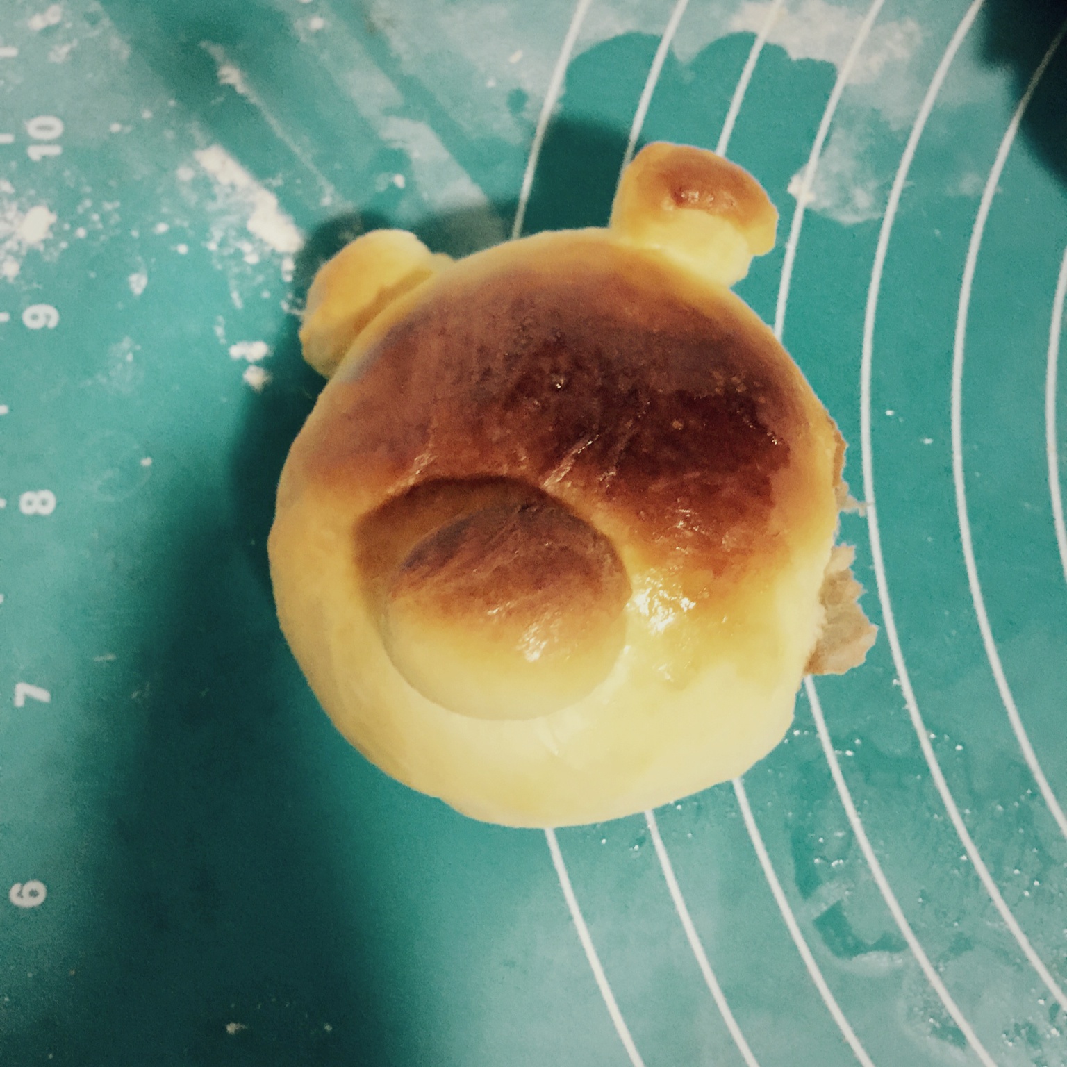 挤挤面包之双色小熊