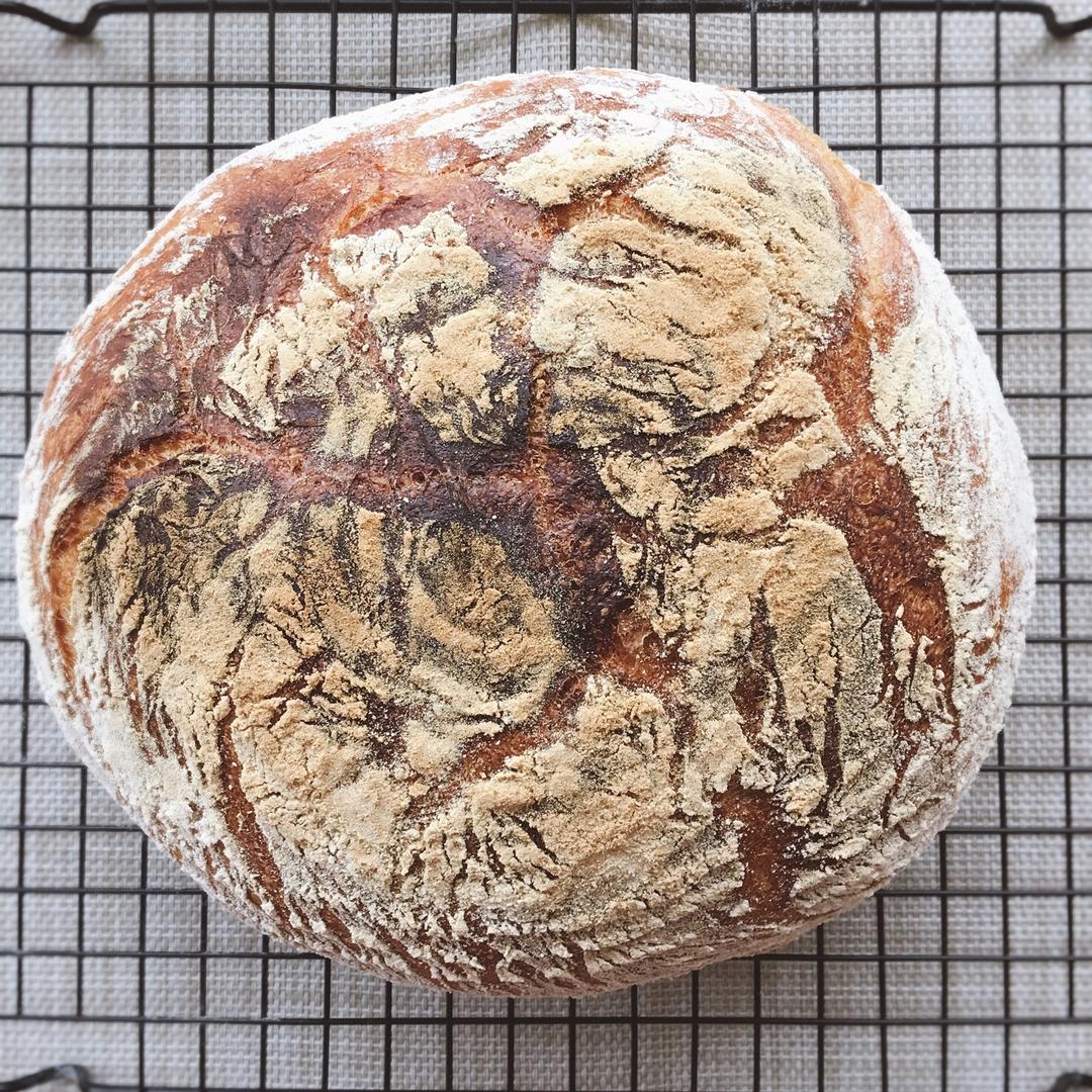 欧包/乡村面包-无油不用揉 No Knead Bread