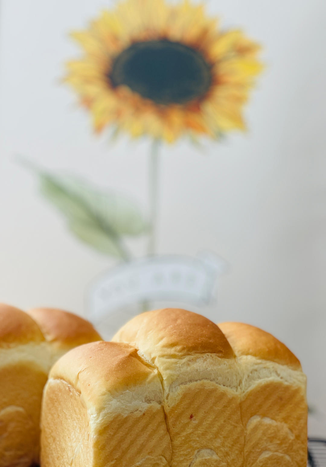 椰子油酸奶绵吐司