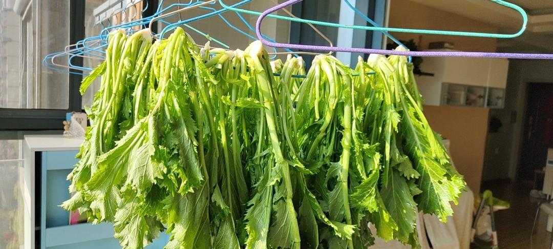 腌雪菜【老方法简单更美味】