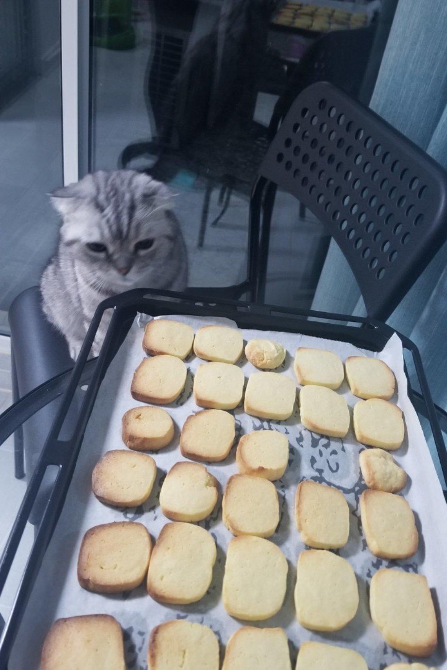 🧀乳酪软曲奇🍪