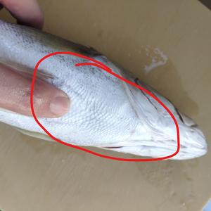 处理鲈鱼（或其他鱼类）的方法的做法 步骤10