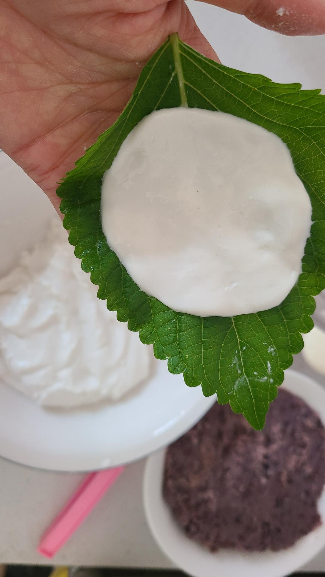 苏叶干粮