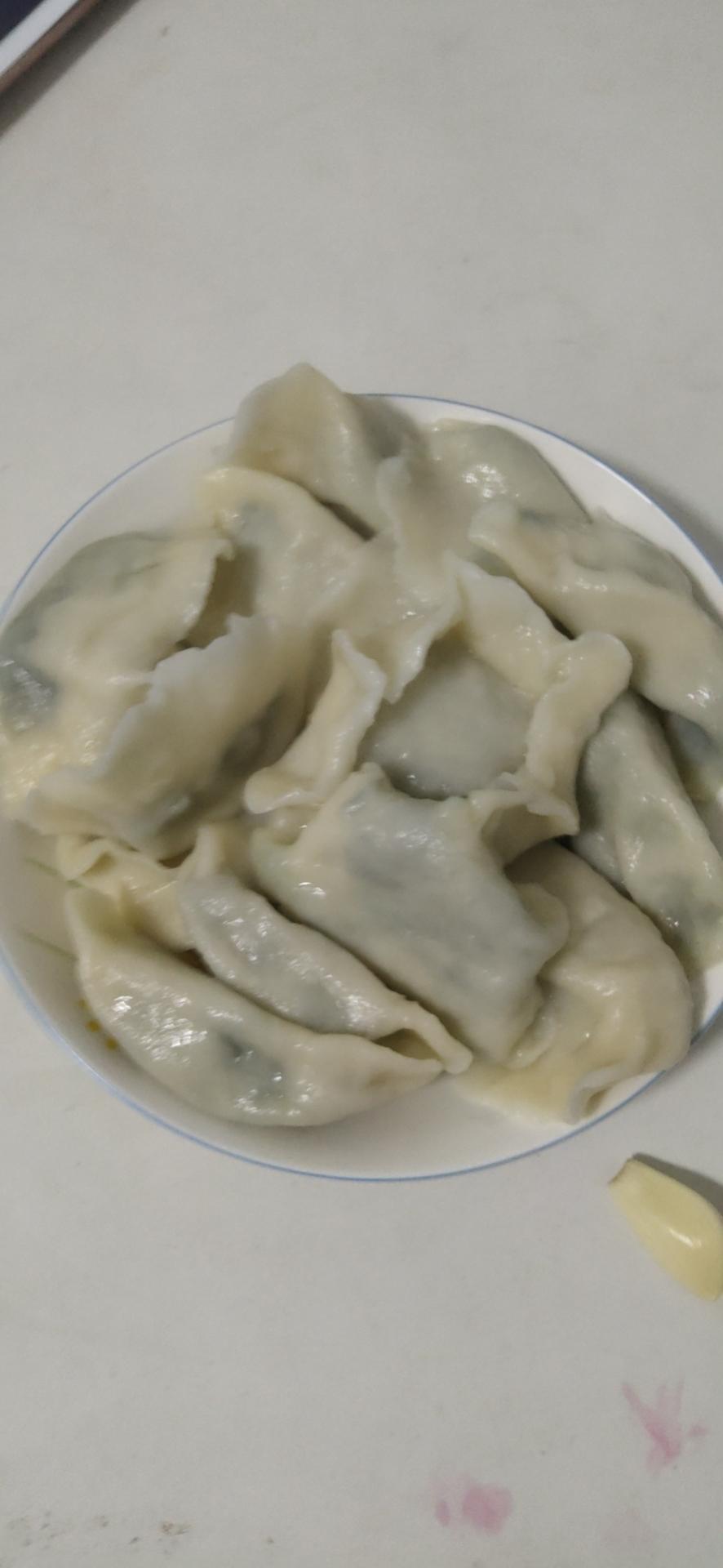 万能饺子馅❗️今天做韭菜肉馅饺子，巨好吃！