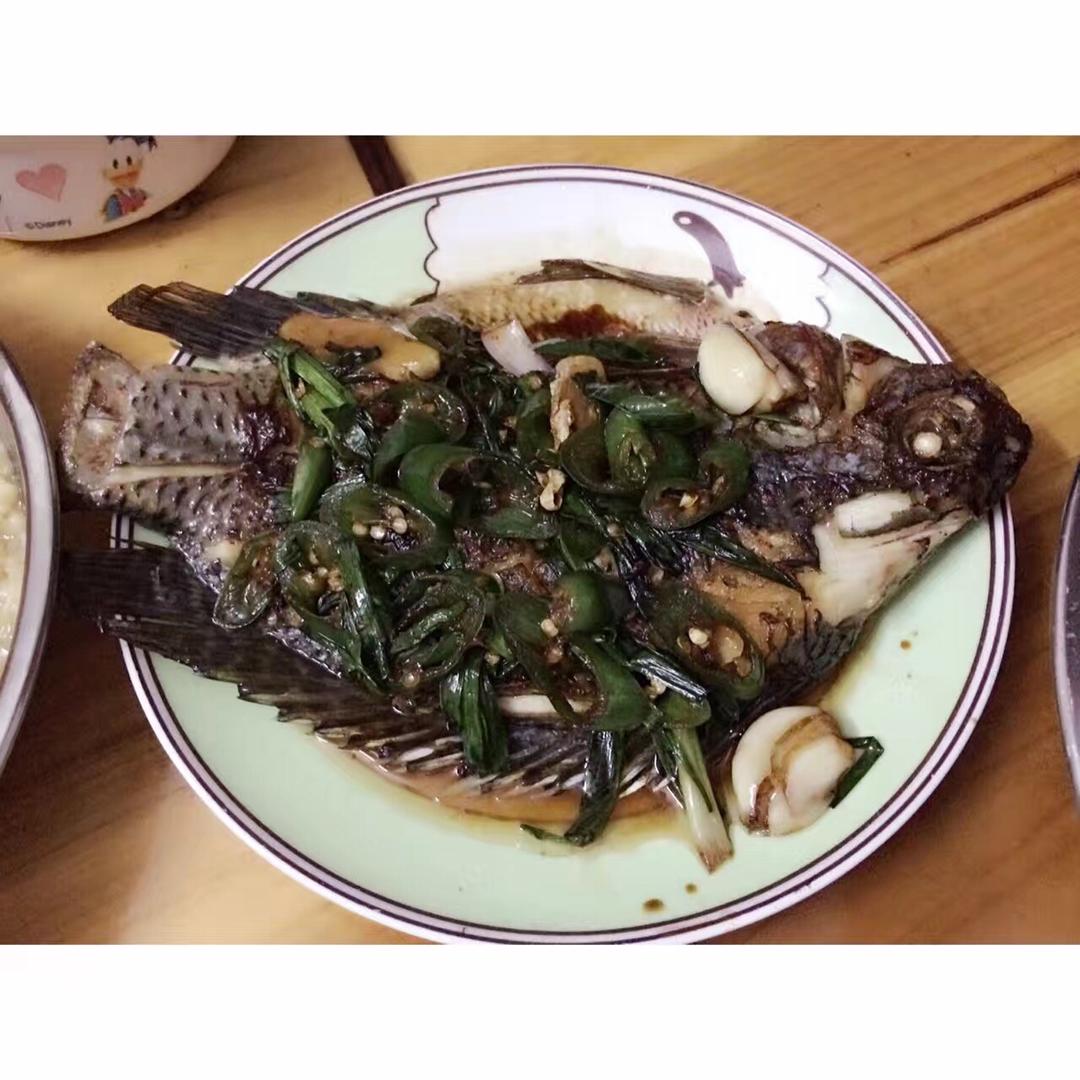 红烧鱼