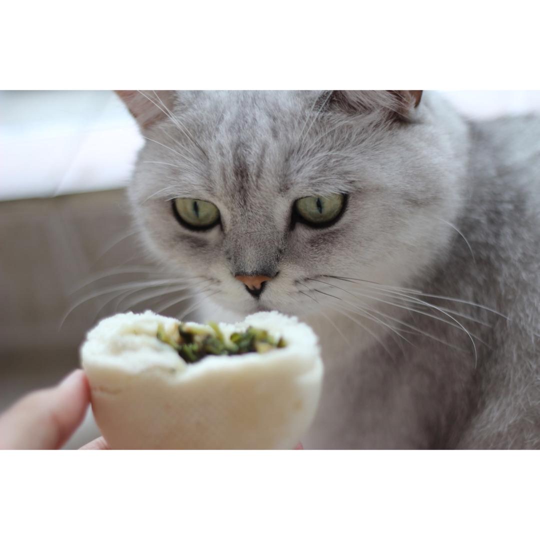 手工包子（肚脐包）