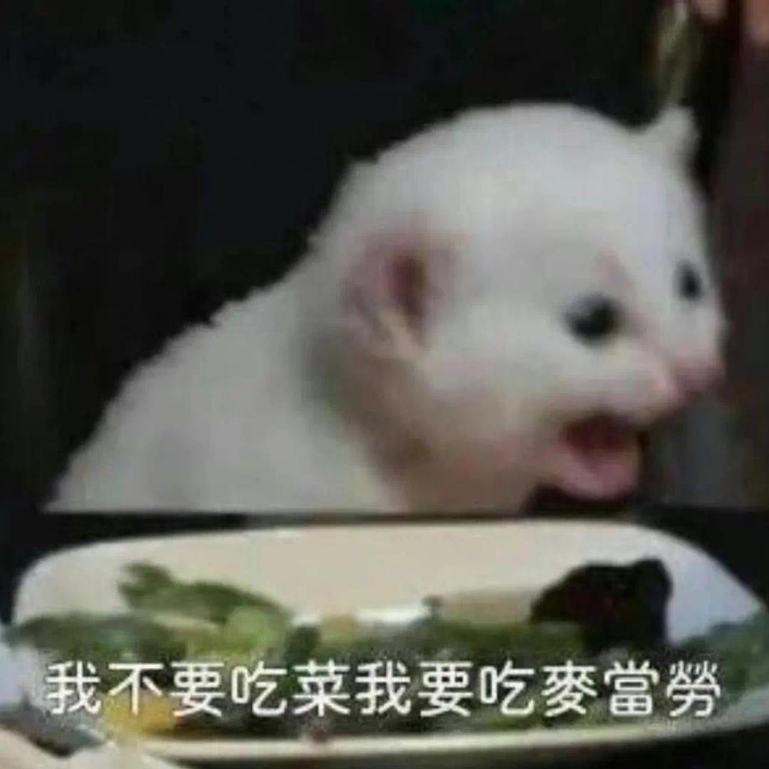 学学做菜恰饱饱