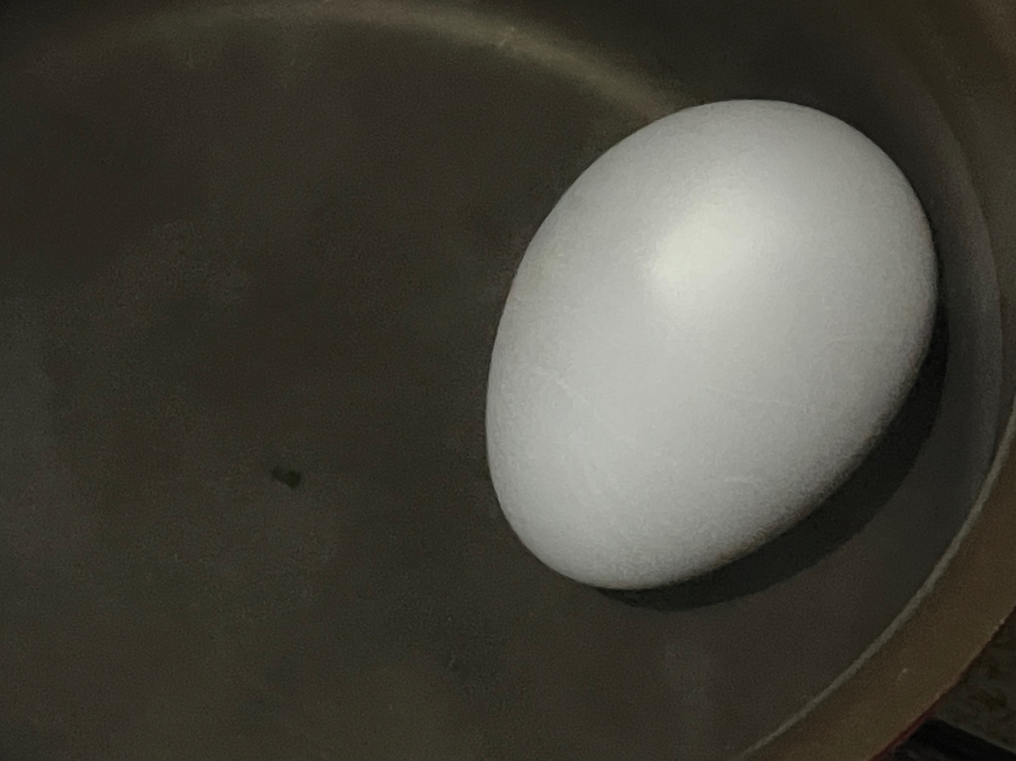 煮鹅蛋的做法 步骤1