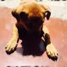 手机用户2513_xa8m