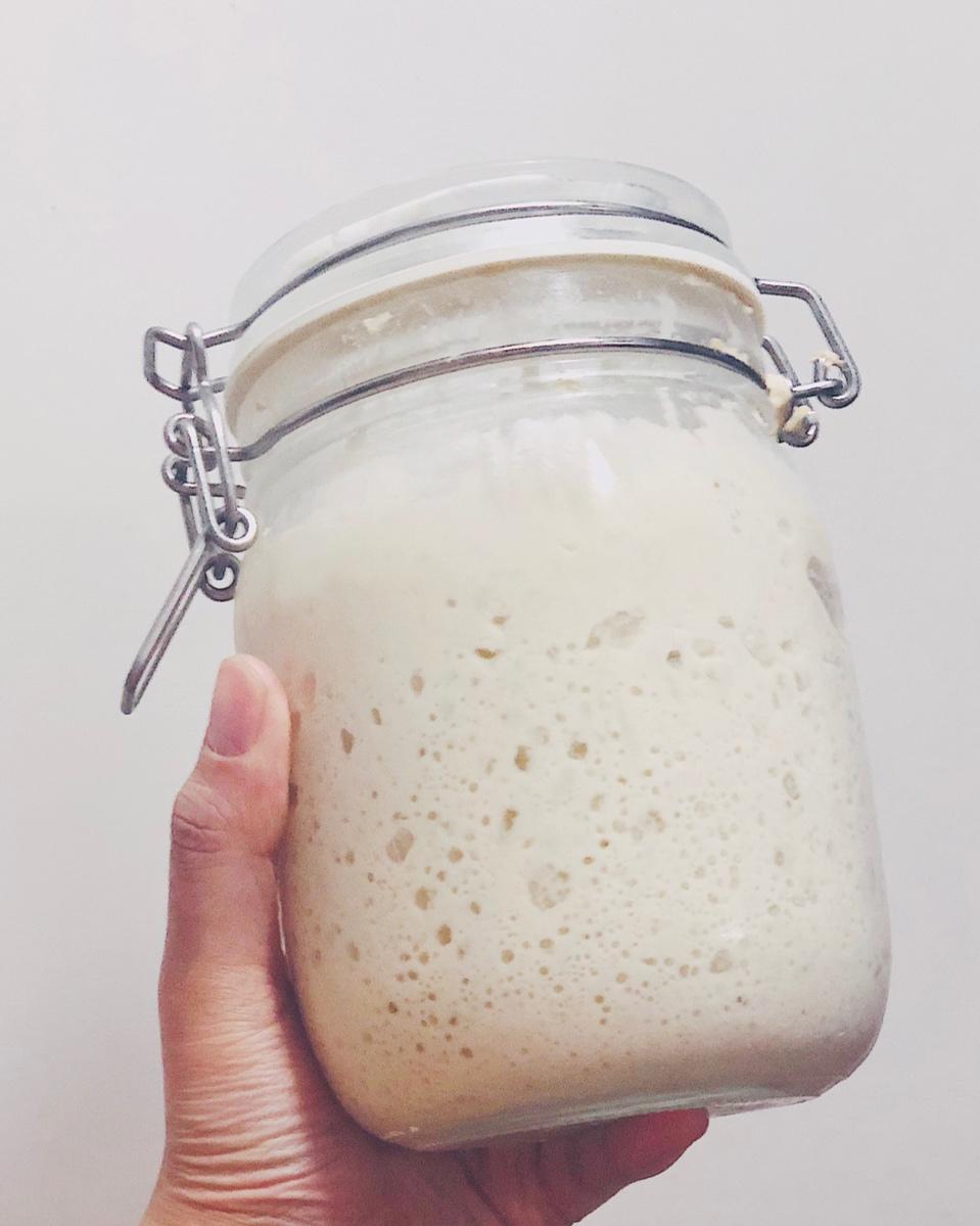 麦之小白做的天然酵母宝宝养成记