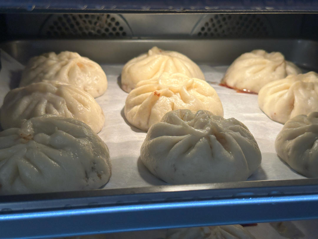 【自用记录】白菜猪肉粉条包子