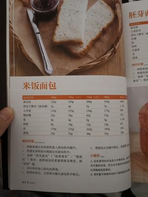 想要试试的面包机食谱的做法 步骤12