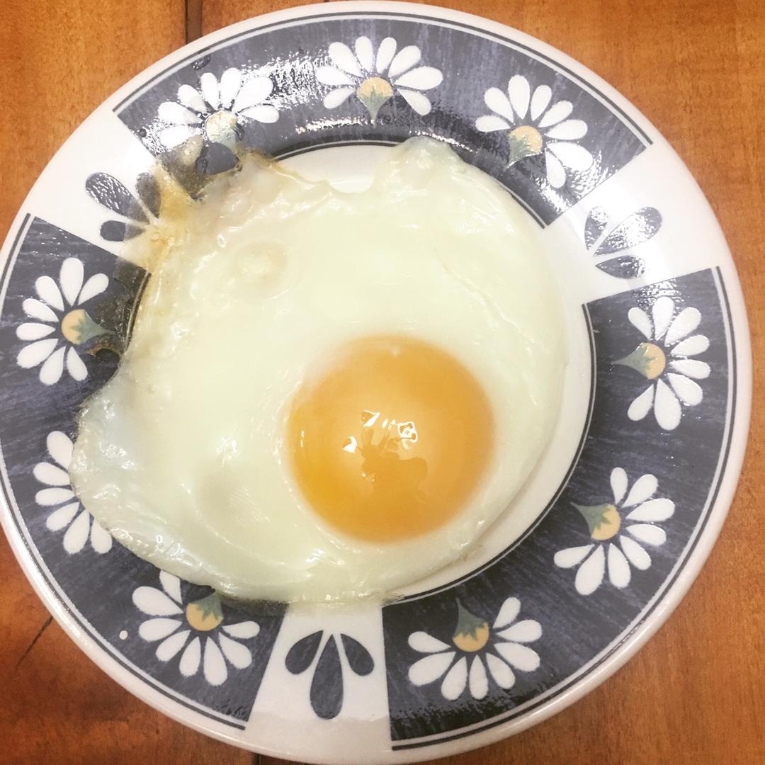 【熊记】太阳蛋