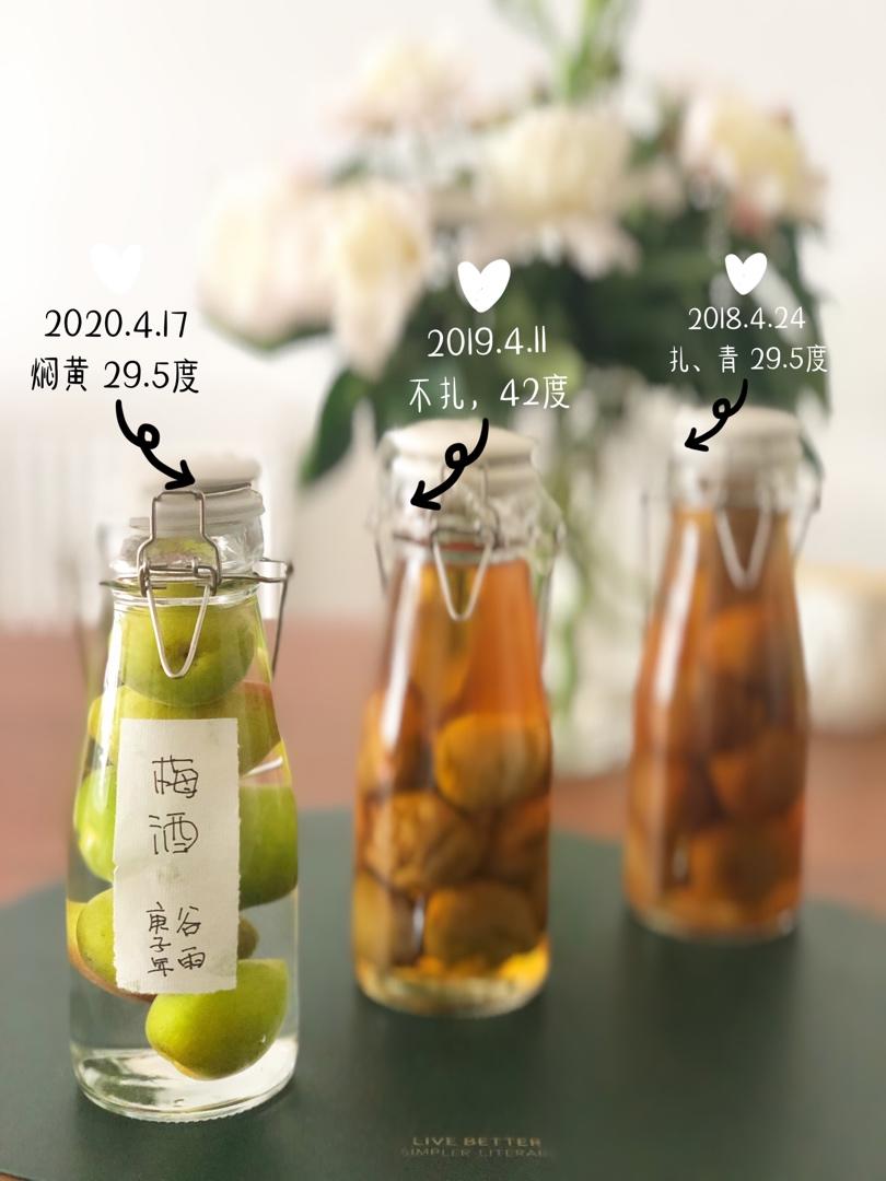 【青梅酒】梅子的沉醉时光（已填坑）
